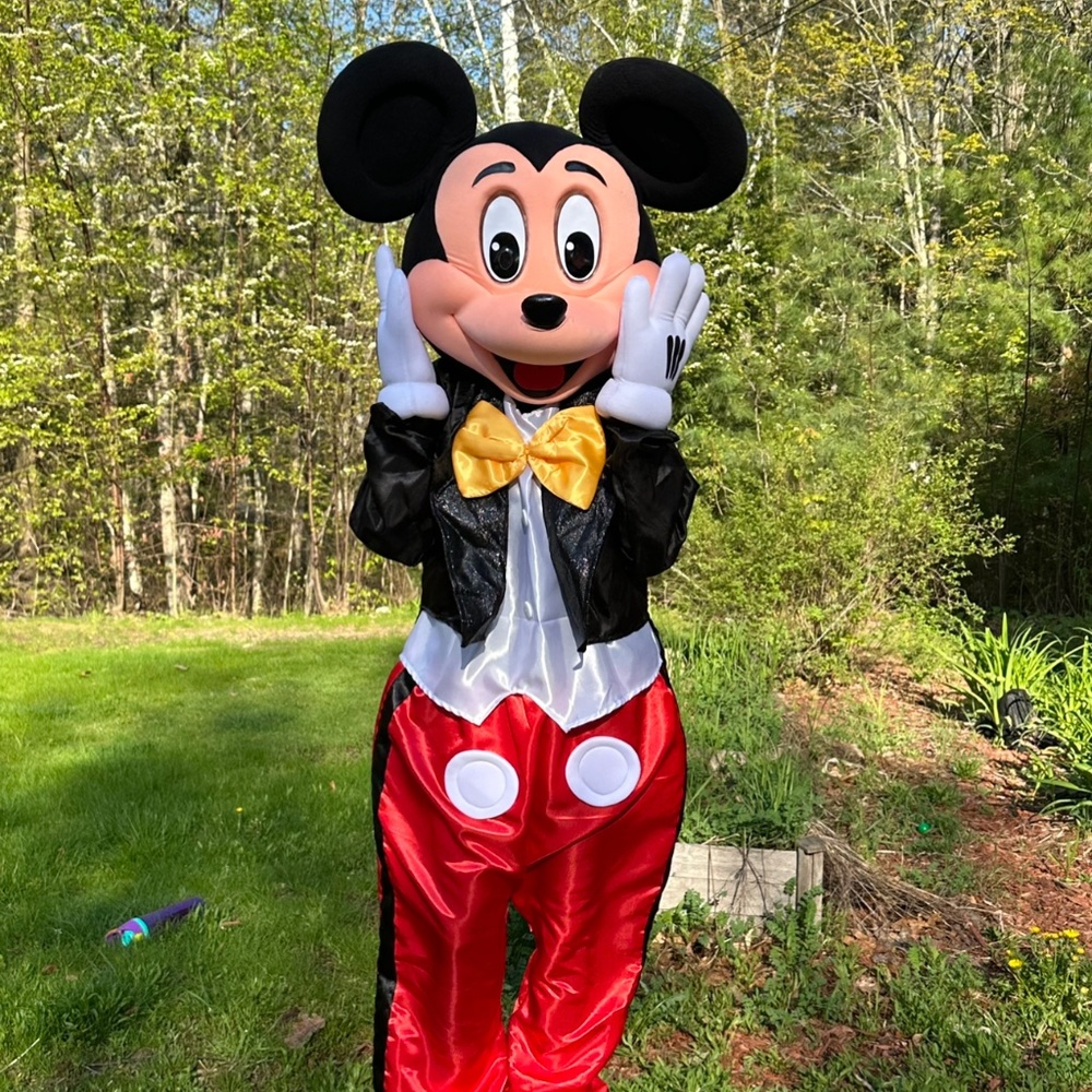 Mickey Mouse mascot